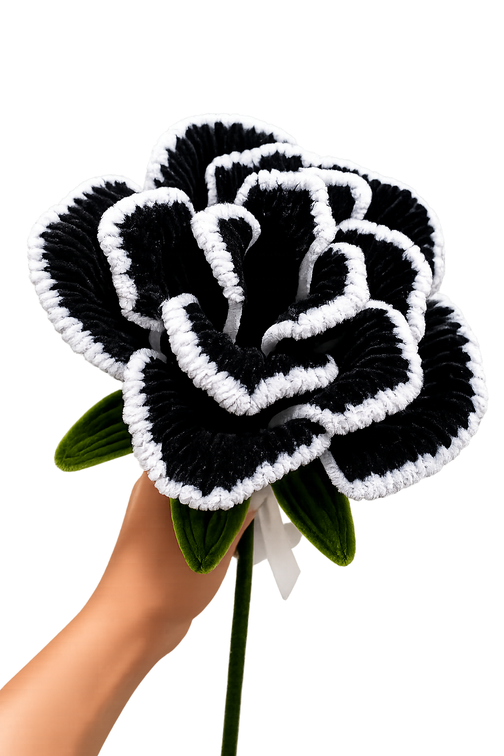 Eclipse Bloom